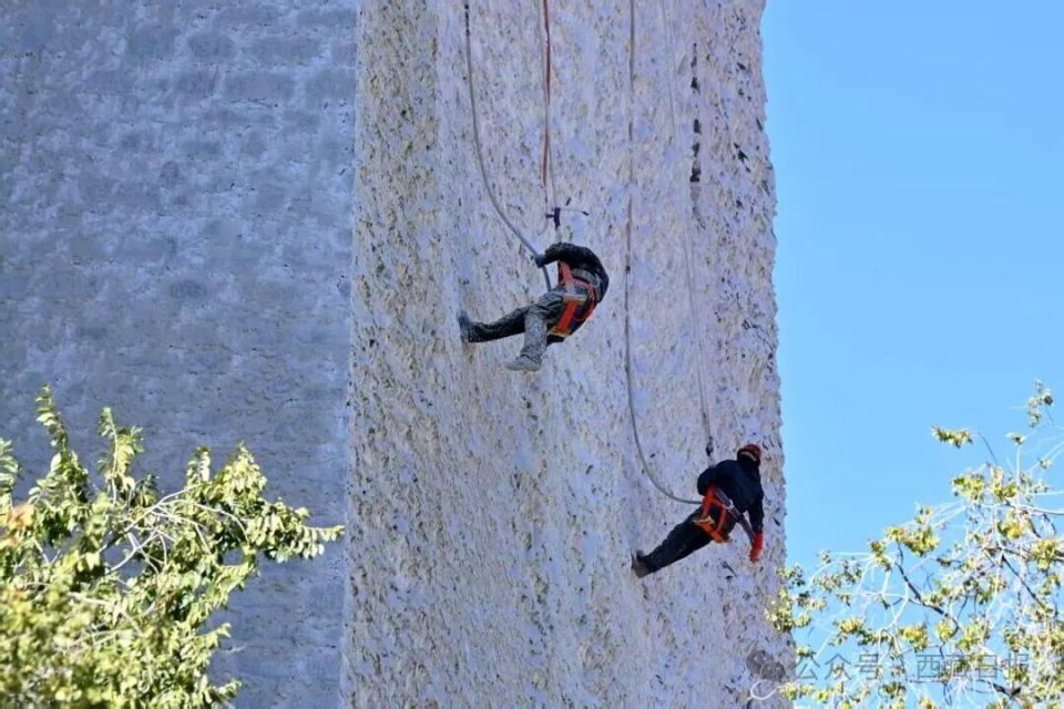 年度最佳“變裝”!布達(dá)拉宮申請(qǐng)出戰(zhàn)!