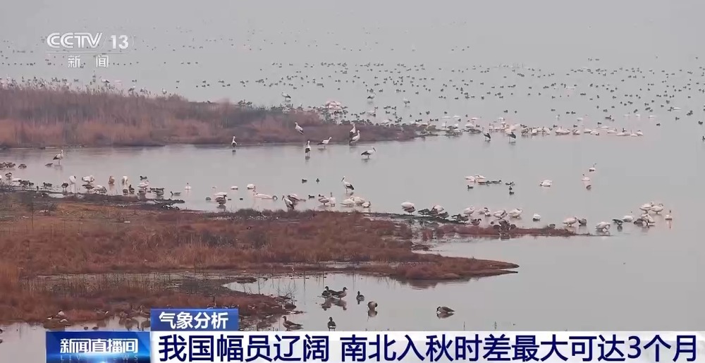 多地秋天“遲到早退” 秋季為何越來越短了?