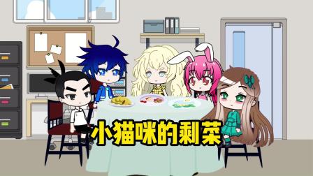 女孩回應打包婚宴剩菜剩飯喂養流浪貓